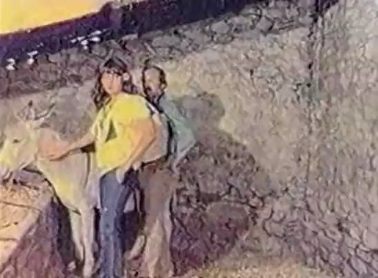 Ata Binmeyi Öğrenen Kadın Türk Sex izle