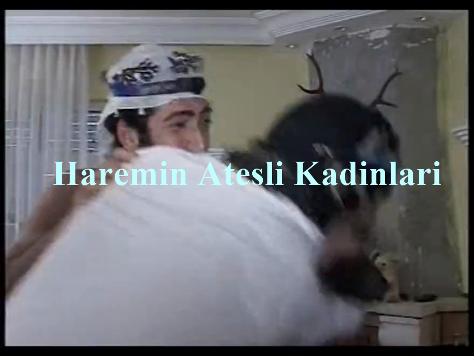 Haremin Ateşli Kadınları ve Azgın Şeyh Türk Erotik izle